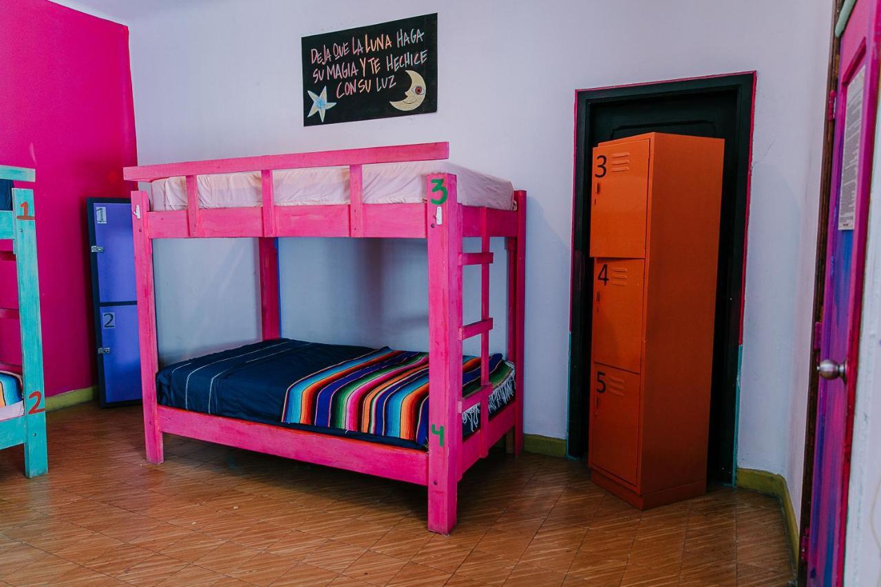 Hostal Chesal 圣路易斯波托西 外观 照片