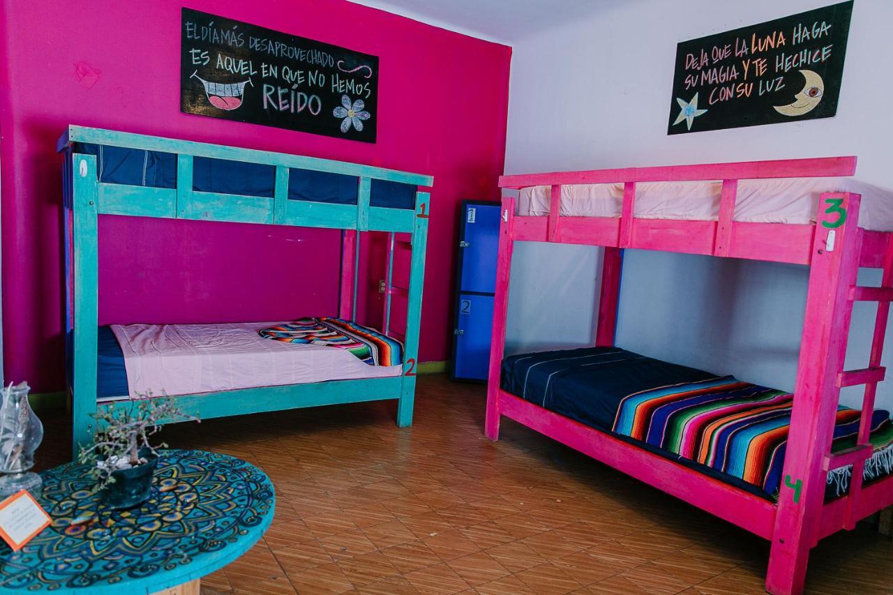 Hostal Chesal 圣路易斯波托西 外观 照片