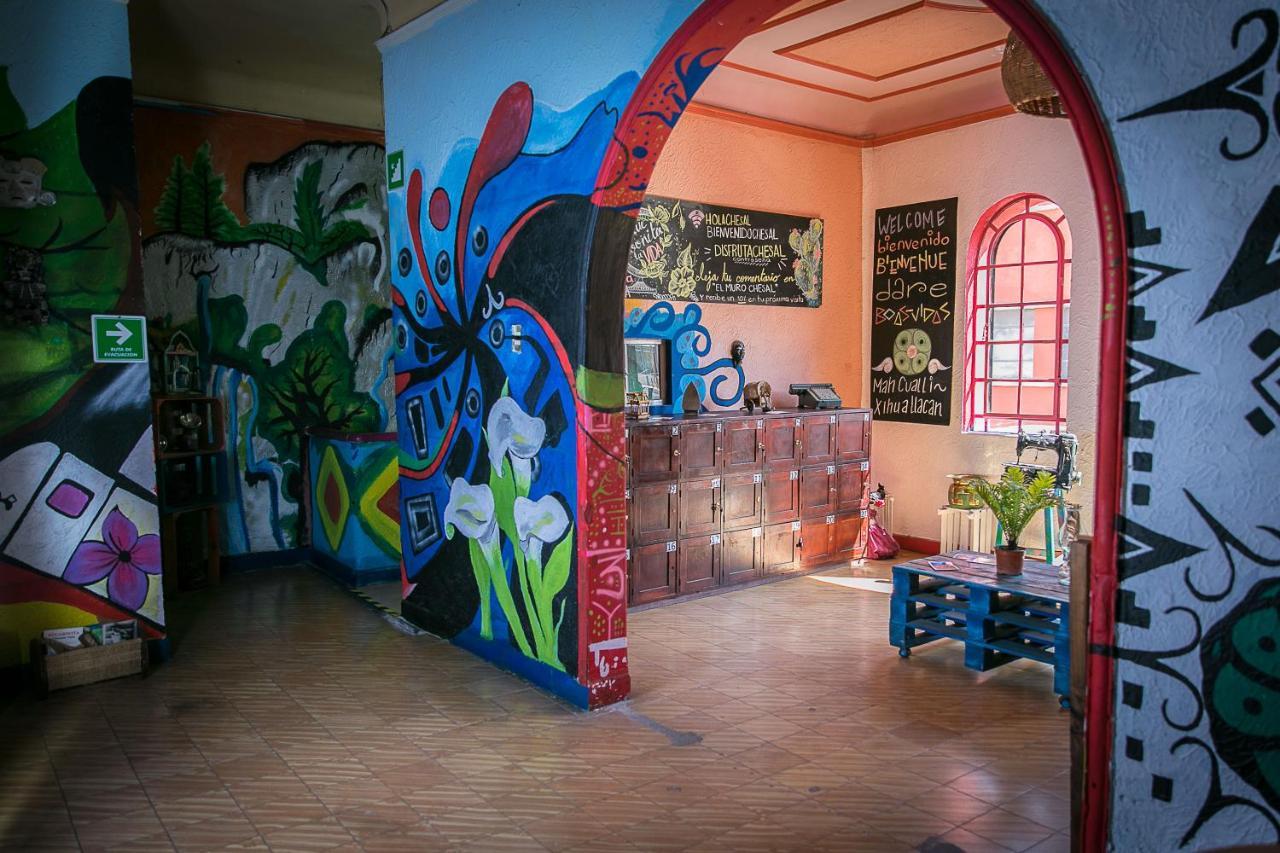 Hostal Chesal 圣路易斯波托西 外观 照片