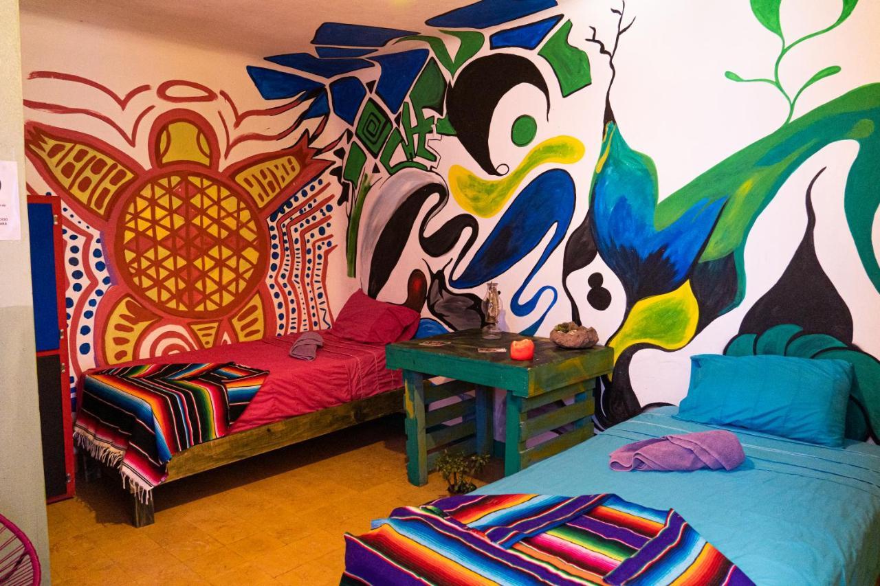 Hostal Chesal 圣路易斯波托西 外观 照片