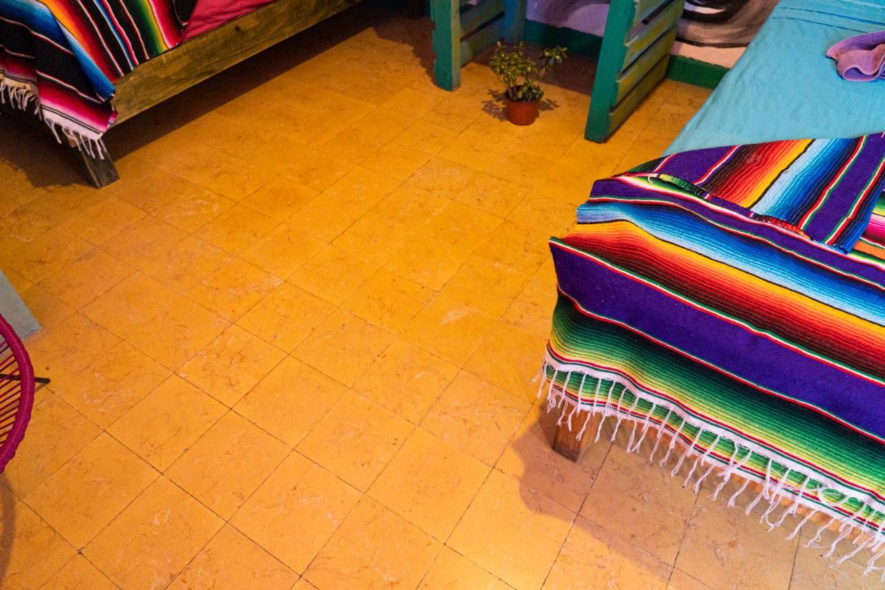 Hostal Chesal 圣路易斯波托西 外观 照片