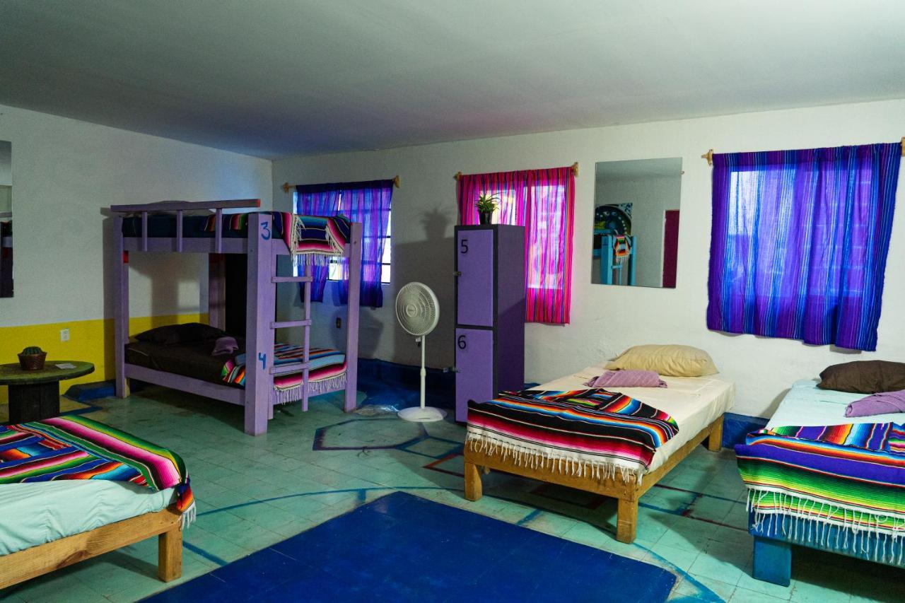 Hostal Chesal 圣路易斯波托西 外观 照片