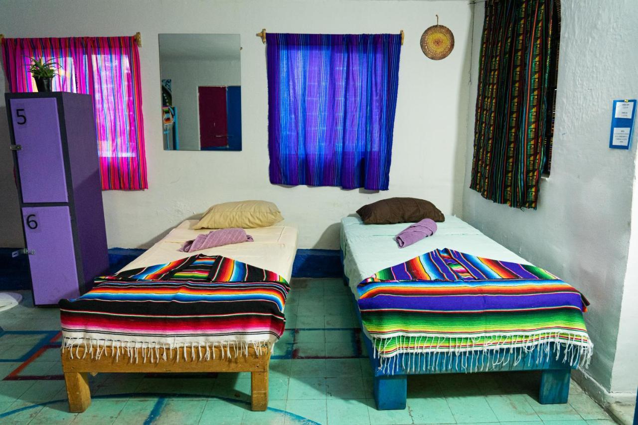 Hostal Chesal 圣路易斯波托西 外观 照片