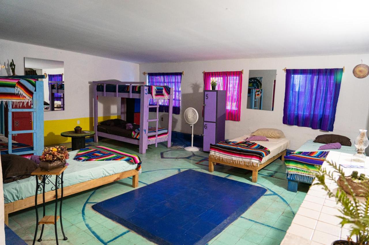 Hostal Chesal 圣路易斯波托西 外观 照片