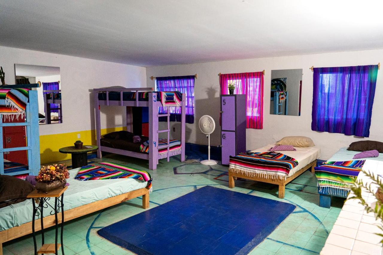Hostal Chesal 圣路易斯波托西 外观 照片